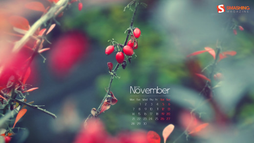 587673 (a): :2560x1440